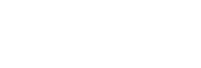 Logo Footer Domaine des Lauzons