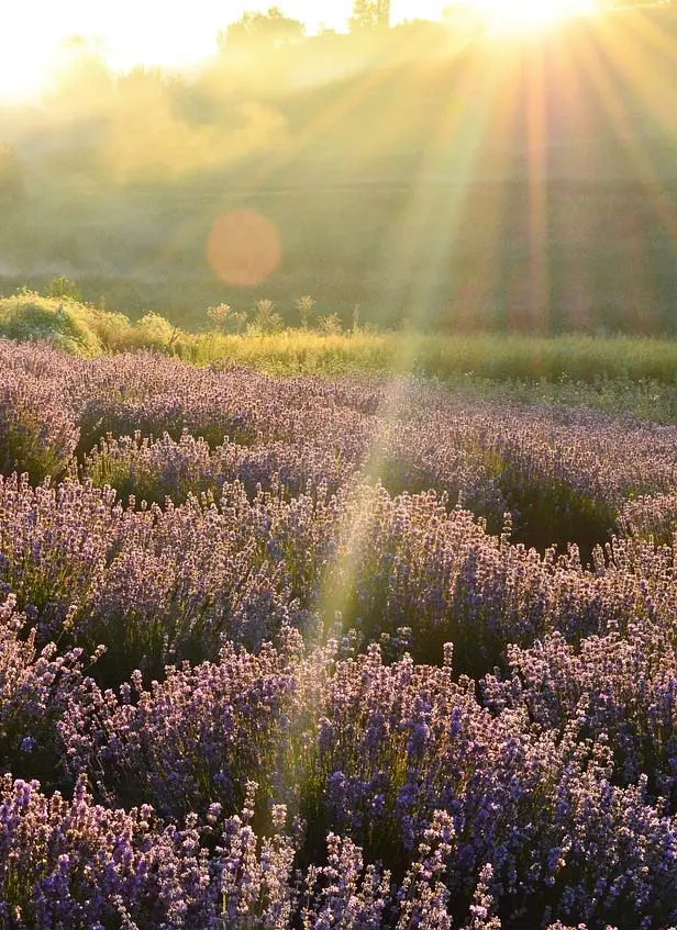 40 hectares de nature en Alpes-de-Haute-Provence